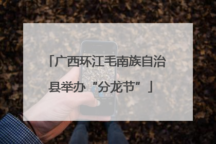广西环江毛南族自治县举办“分龙节”