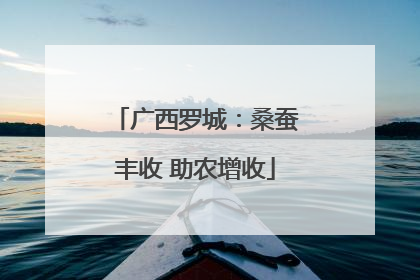 广西罗城：桑蚕丰收 助农增收