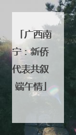 广西南宁：新侨代表共叙端午情