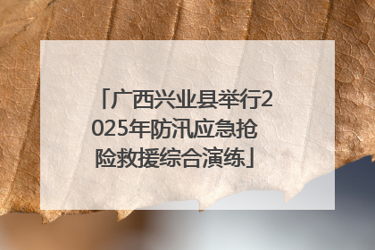 广西兴业县举行2025年防汛应急抢险救援综合演练