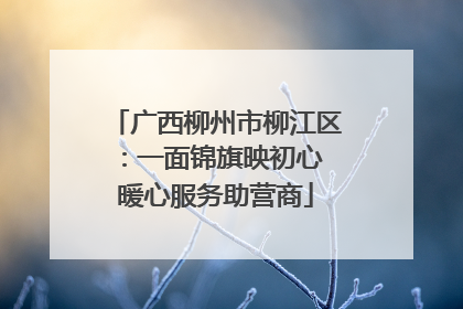 广西柳州市柳江区：一面锦旗映初心 暖心服务助营商