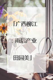 广西柳江：雨后产业田园美