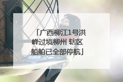 广西柳江1号洪峰过境柳州 辖区船舶已全部停航