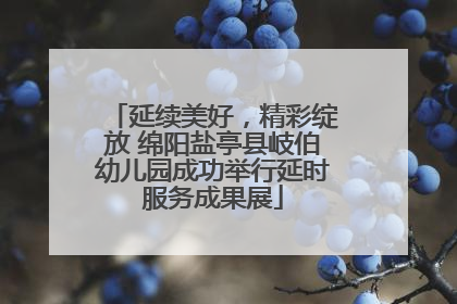 延续美好，精彩绽放 绵阳盐亭县岐伯幼儿园成功举行延时服务成果展