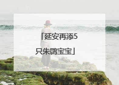 延安再添5只朱鹮宝宝