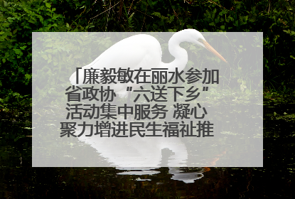 廉毅敏在丽水参加省政协“六送下乡”活动集中服务 凝心聚力增进民生福祉推进共同富裕