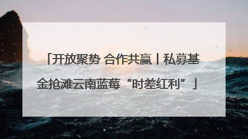 开放聚势 合作共赢丨私募基金抢滩云南蓝莓“时差红利”