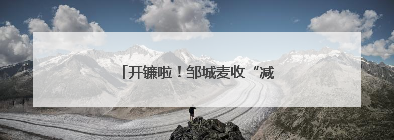 开镰啦！邹城麦收“减”出530多万斤增量