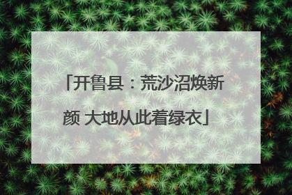 开鲁县：荒沙沼焕新颜 大地从此着绿衣