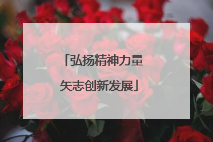 弘扬精神力量 矢志创新发展
