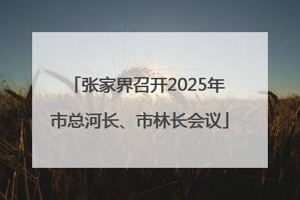 张家界召开2025年市总河长、市林长会议