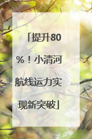 提升80％！小清河航线运力实现新突破