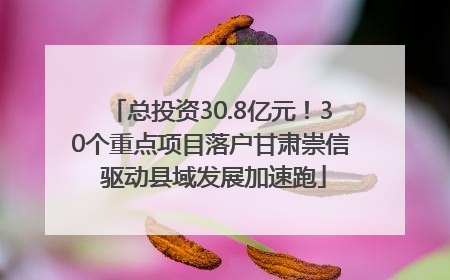 总投资30.8亿元！30个重点项目落户甘肃崇信 驱动县域发展加速跑