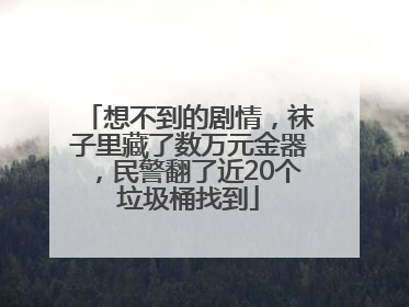 想不到的剧情，袜子里藏了数万元金器，民警翻了近20个垃圾桶找到
