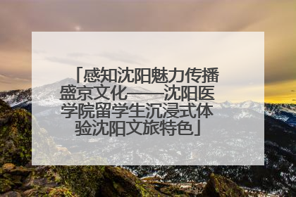 感知沈阳魅力传播盛京文化——沈阳医学院留学生沉浸式体验沈阳文旅特色