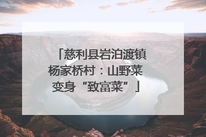 慈利县岩泊渡镇杨家桥村：山野菜变身“致富菜”