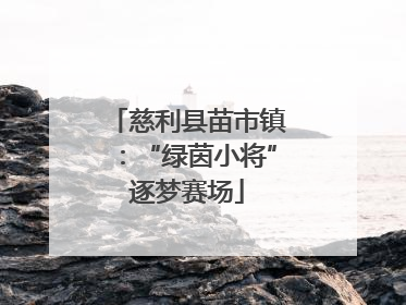 慈利县苗市镇：“绿茵小将”逐梦赛场