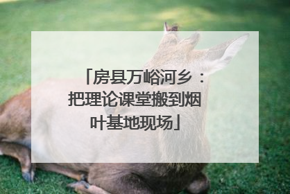 房县万峪河乡：把理论课堂搬到烟叶基地现场