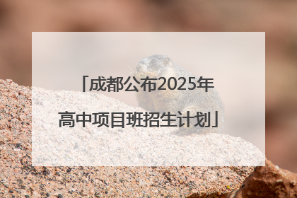 成都公布2025年高中项目班招生计划