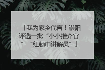 我为家乡代言！崇阳评选一批“小小推介官”“红领巾讲解员”