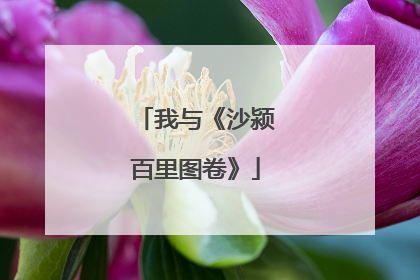 我与《沙颍百里图卷》