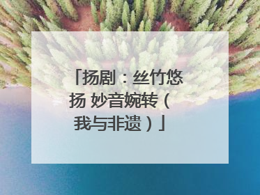 扬剧：丝竹悠扬 妙音婉转（我与非遗）