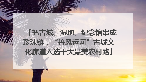 把古城、湿地、纪念馆串成珍珠链，“鲁风运河”古城文化廊道入选十大最美农村路