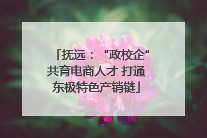 抚远：“政校企”共育电商人才 打通东极特色产销链