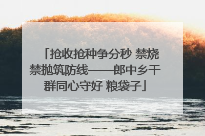 抢收抢种争分秒 禁烧禁抛筑防线——郎中乡干群同心守好 粮袋子