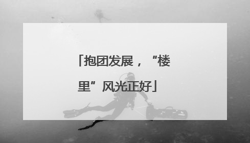 抱团发展，“楼里”风光正好