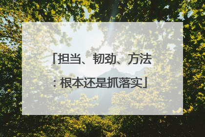 担当、韧劲、方法：根本还是抓落实