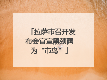 拉萨市召开发布会官宣黑颈鹤为“市鸟”