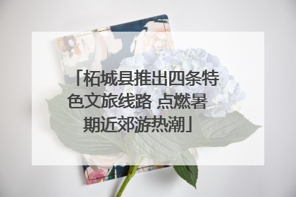 柘城县推出四条特色文旅线路 点燃暑期近郊游热潮