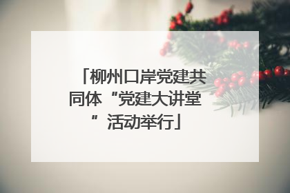 柳州口岸党建共同体“党建大讲堂”活动举行