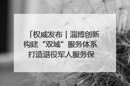 权威发布｜淄博创新构建“双域”服务体系 打造退役军人服务保障“淄博样板”
