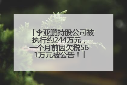 李亚鹏持股公司被执行约244万元，一个月前因欠税561万元被公告！
