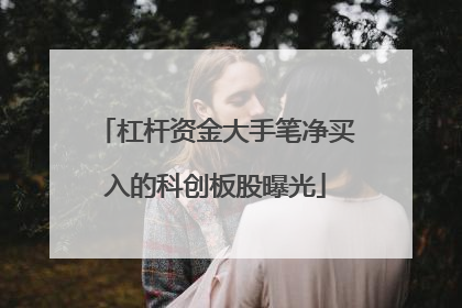 杠杆资金大手笔净买入的科创板股曝光