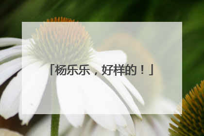 杨乐乐，好样的！