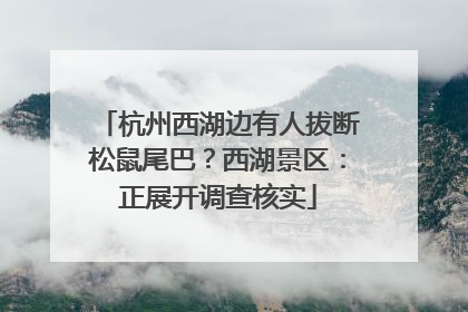 杭州西湖边有人拔断松鼠尾巴？西湖景区：正展开调查核实