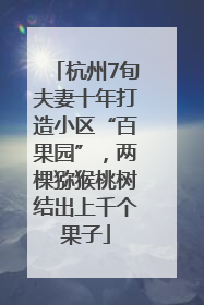 杭州7旬夫妻十年打造小区“百果园”，两棵猕猴桃树结出上千个果子