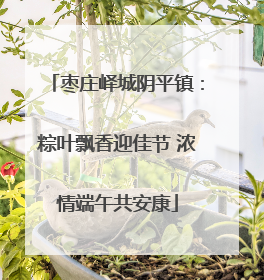 枣庄峄城阴平镇：粽叶飘香迎佳节 浓情端午共安康