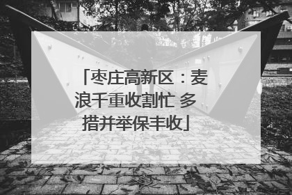 枣庄高新区：麦浪千重收割忙 多措并举保丰收