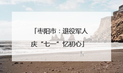 枣阳市：退役军人庆“七一”忆初心