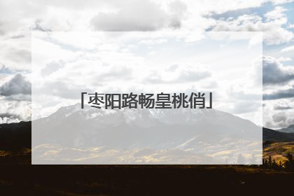 枣阳路畅皇桃俏