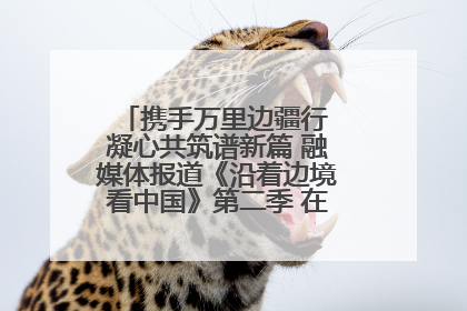 携手万里边疆行 凝心共筑谱新篇 融媒体报道《沿着边境看中国》第二季 在广西东兴正式启动