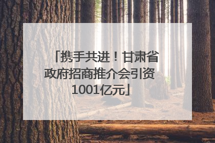 携手共进！甘肃省政府招商推介会引资1001亿元