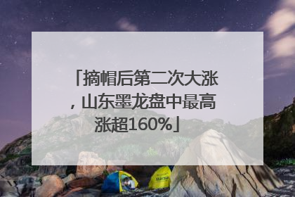 摘帽后第二次大涨，山东墨龙盘中最高涨超160%