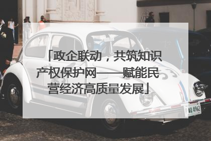 政企联动，共筑知识产权保护网——赋能民营经济高质量发展