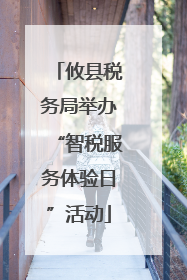 攸县税务局举办“智税服务体验日”活动