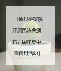 攸县检察院开展民法典颁布五周年集中宣传月活动